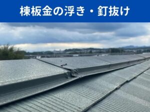 棟板金の浮き・釘抜け