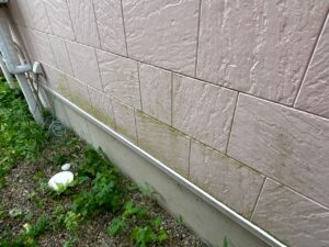 外壁材に一部カビ・コケが発生しているところがあります。低汚染塗料の使用や専用の添加剤を塗料に混ぜることで、カビ・コケの発生を抑制することができます。