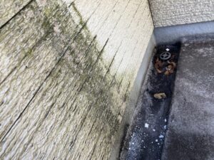 外壁材に一部カビ・コケが発生しているところがあります。低汚染塗料の使用や専用の添加剤を塗料に混ぜることで、カビ・コケの発生を抑制することができます。