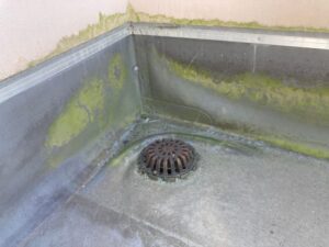 ドレン排水まわり