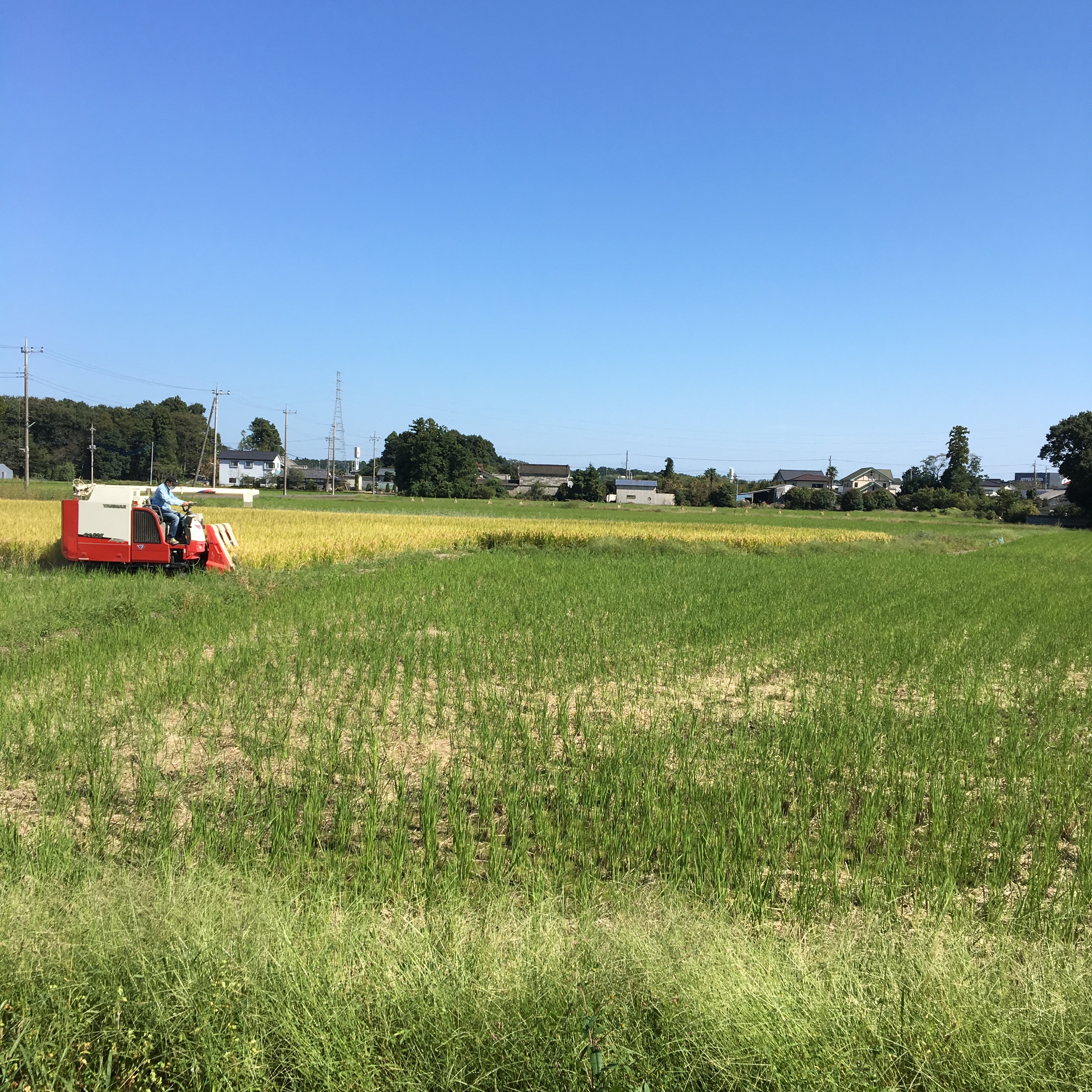 栃木県宇都宮市・小山市・栃木市の外壁塗装・屋根塗装はスミタイの写真